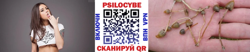 Псилоцибиновые грибы Psilocybe  Менделеевск 